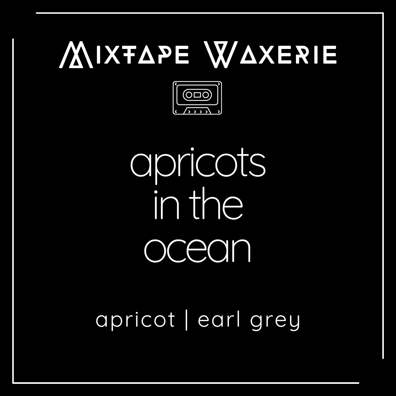 Apricots in the Ocean [11 oz candle]